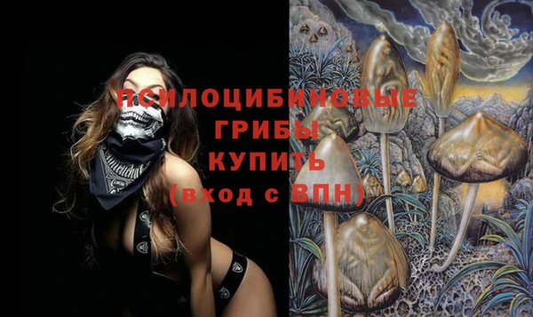 твердый Абинск