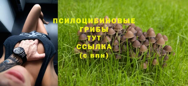 твердый Абинск