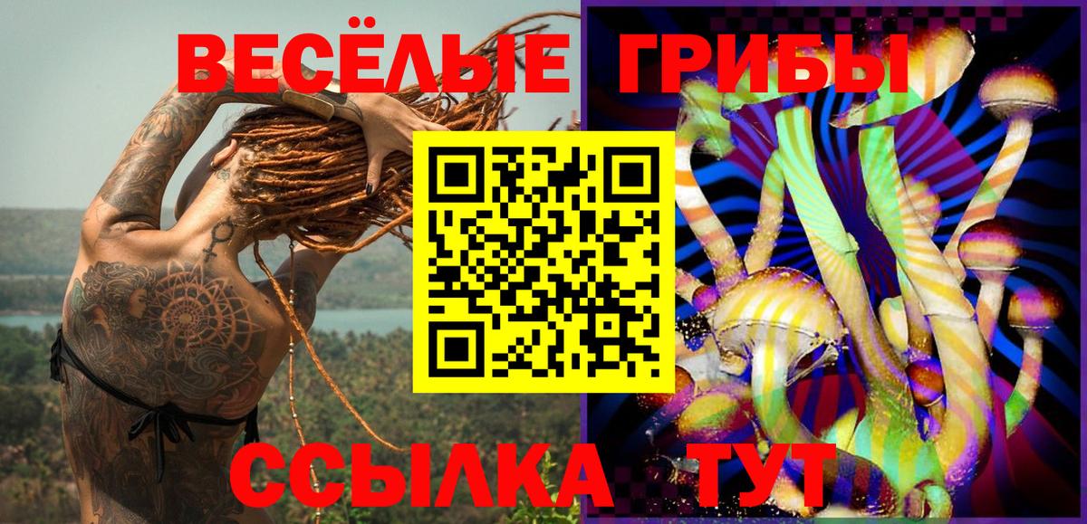 наркошоп  Галлюциногенные грибы Cubensis  Владикавказ  Вход с VPN  Галлюциногенные грибы Psilocybine cubensis 