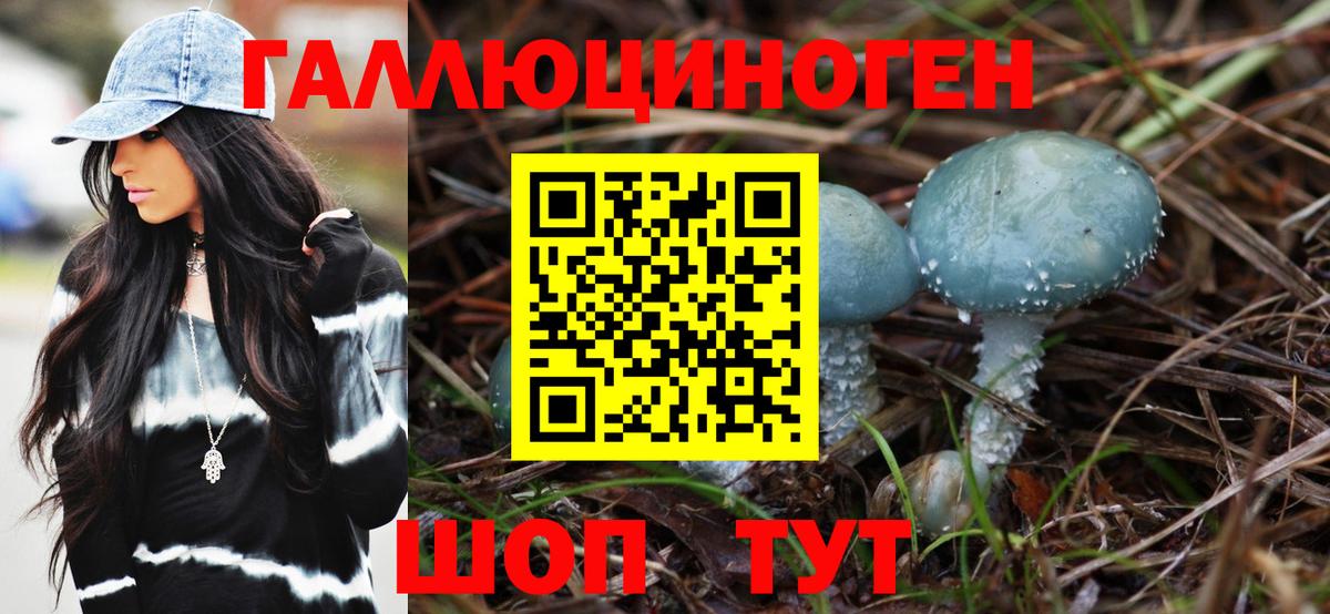 Галлюциногенные грибы прущие грибы Владикавказ